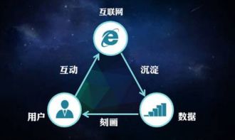 互聯(lián)網(wǎng)營銷與互聯(lián)網(wǎng)銷售 數(shù)字化時代的商業(yè)雙翼